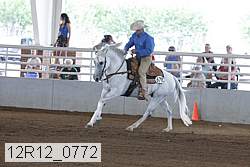 12r12_0772 proof