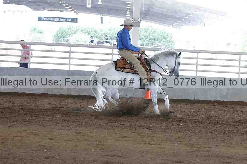 Proof 12r12_0776