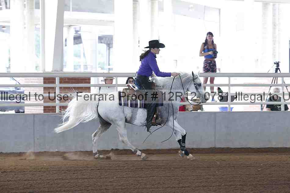 Proof 12r12_0781