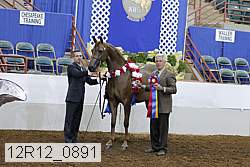 12r12_0891 proof