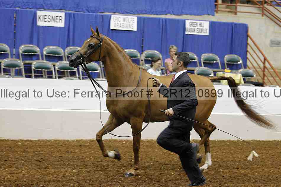 Proof 12r12_0899