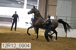 12r12_0904 proof