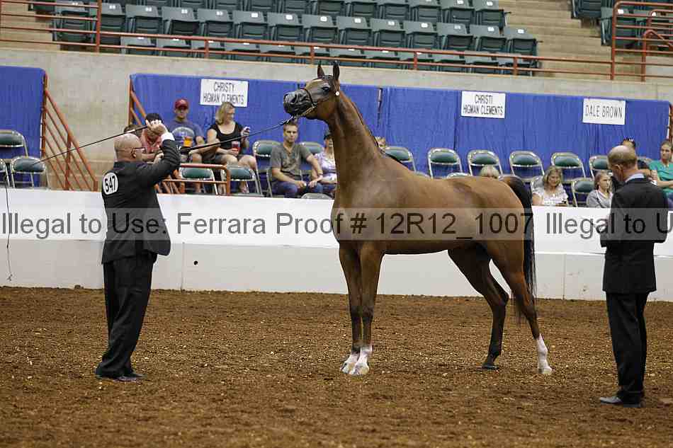 Proof 12r12_1007