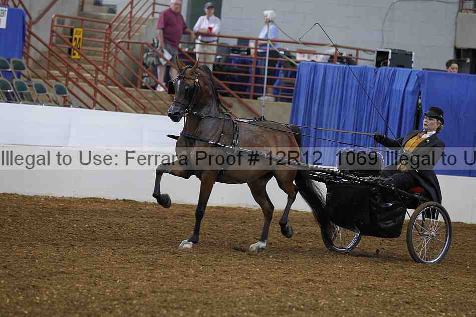Proof 12r12_1069