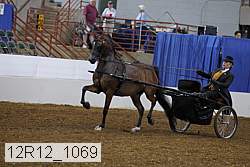 12r12_1069 proof