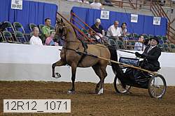 12r12_1071 proof