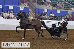 12r12_1072 proof