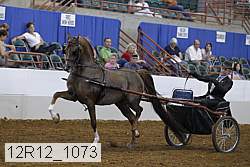 12r12_1073 proof