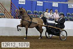 12r12_1079 proof