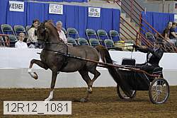 12r12_1081 proof