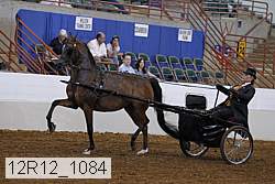 12r12_1084 proof