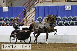 12r12_1089 proof