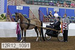 12r12_1091 proof