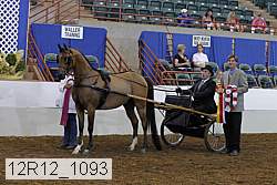 12r12_1093 proof