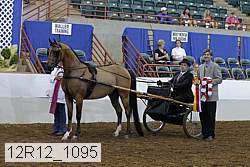 12r12_1095 proof