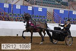 12r12_1098 proof