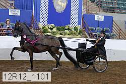 12r12_1101 proof