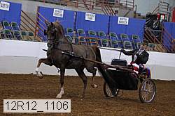 12r12_1106 proof