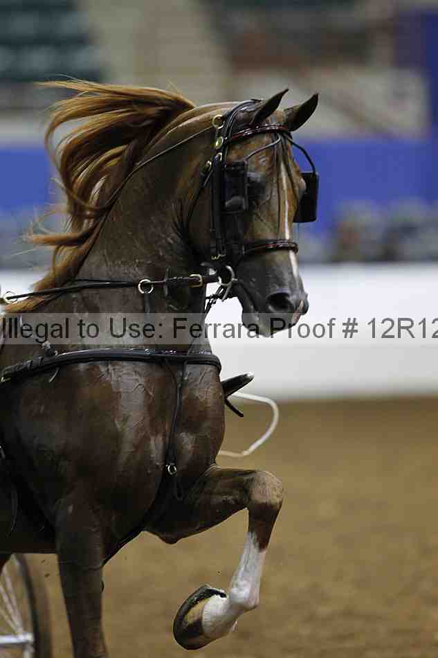 Proof 12r12_1111