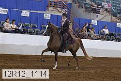 12r12_1114 proof