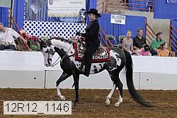 12r12_1146 proof