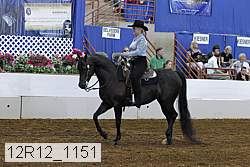 12r12_1151 proof