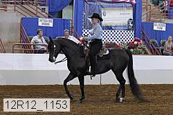 12r12_1153 proof