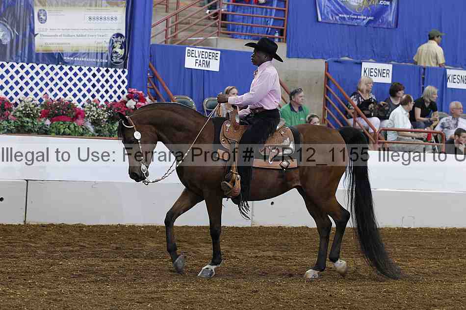 Proof 12r12_1155