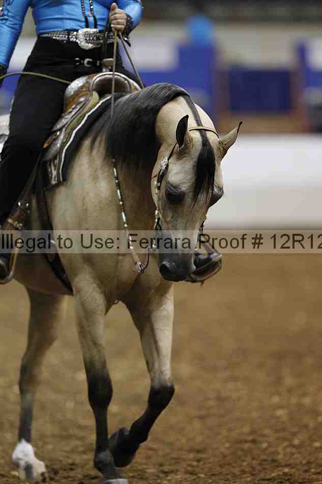 Proof 12r12_1158