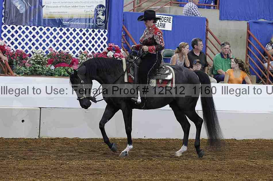 Proof 12r12_1160