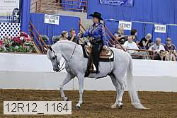 12r12_1164 proof