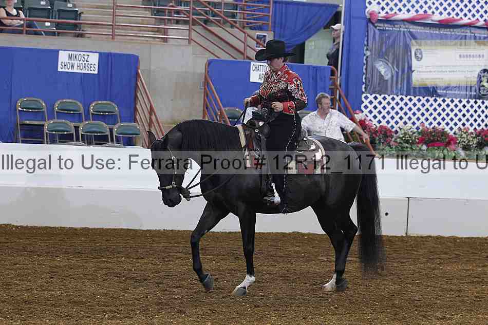 Proof 12r12_1171