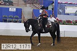 12r12_1171 proof
