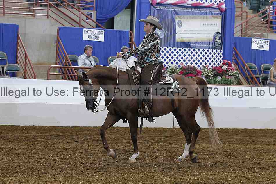 Proof 12r12_1173