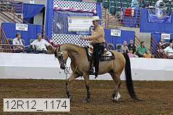 12r12_1174 proof
