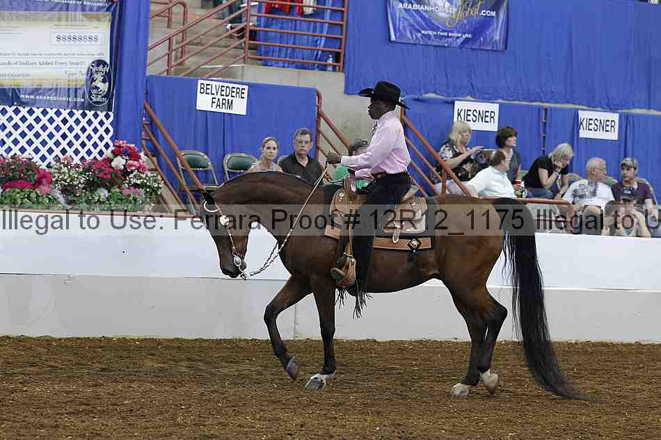 Proof 12r12_1175