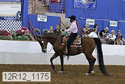 12r12_1175 proof