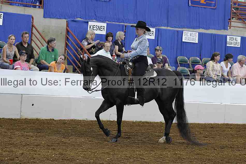 Proof 12r12_1176