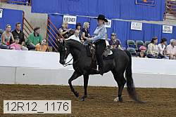 12r12_1176 proof