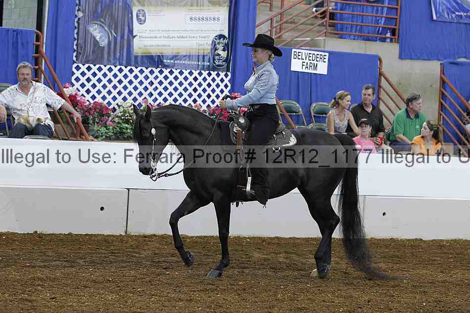 Proof 12r12_1177