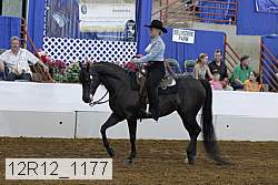 12r12_1177 proof