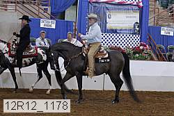 12r12_1178 proof