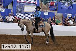 12r12_1179 proof