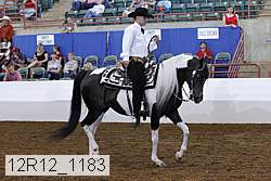12r12_1183 proof