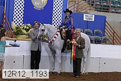12r12_1193 proof