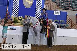 12r12_1194 proof