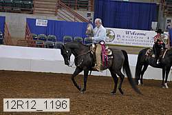 12r12_1196 proof