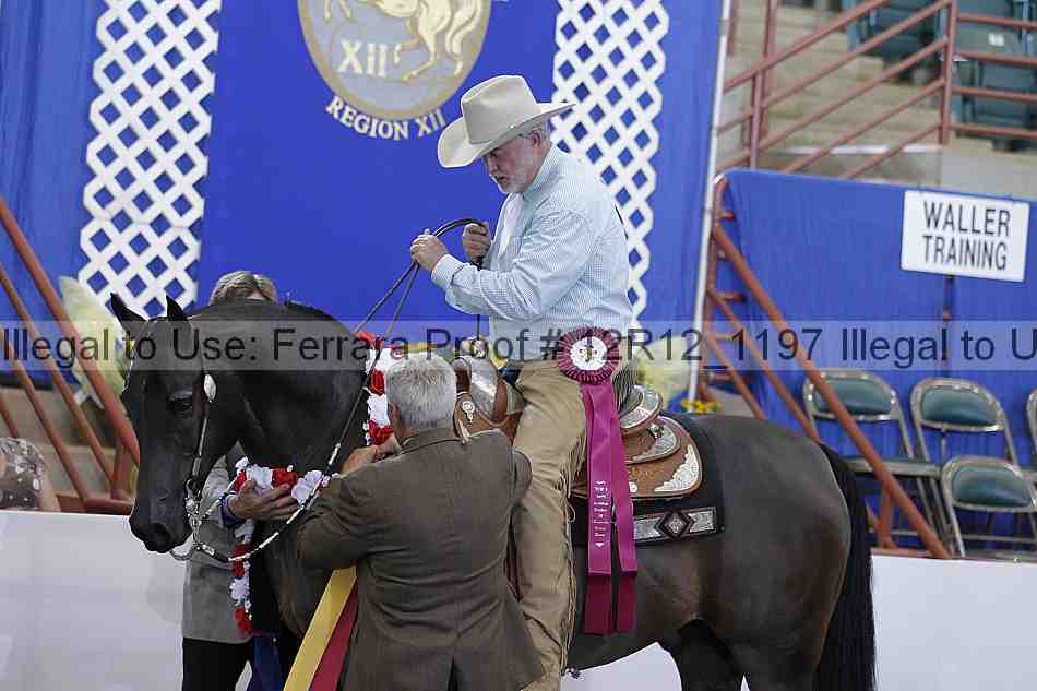Proof 12r12_1197