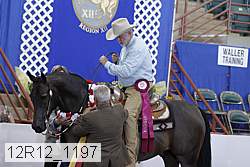12r12_1197 proof