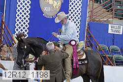 12r12_1198 proof